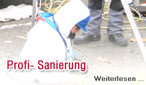 Profi- Sanierung