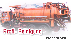 Profi- Reinigung